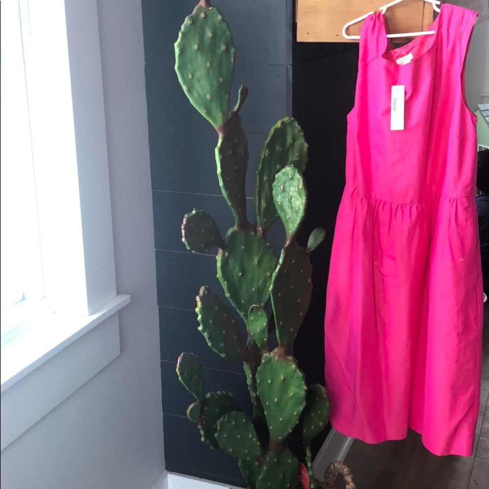 J.Crew dress